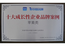 十大成長(zhǎng)性企業(yè)品牌案例（蘋果類）