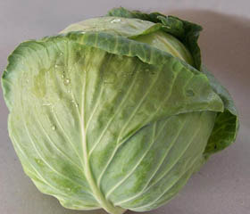 Cabbage